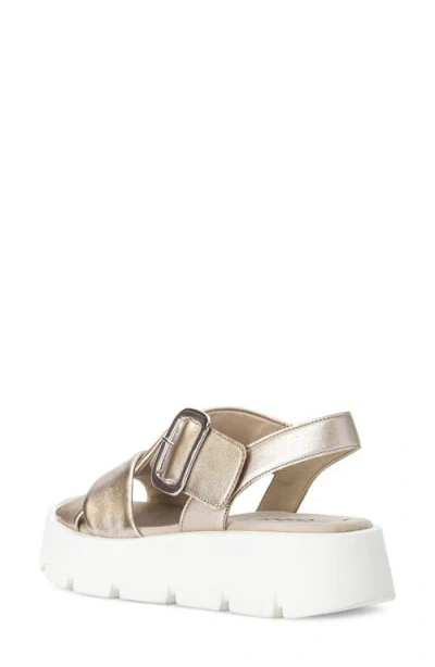 Gabor Crossover Slingback Wedge Sandal In Puder