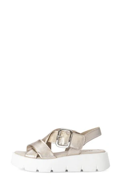 Gabor Crossover Slingback Wedge Sandal In Puder