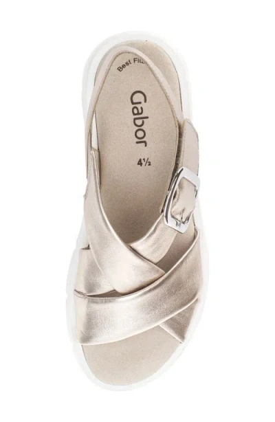 Gabor Crossover Slingback Wedge Sandal In Puder