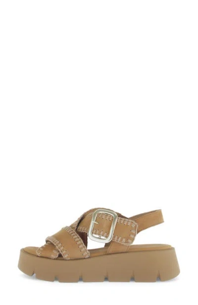 Gabor Crossover Slingback Wedge Sandal In Walnut