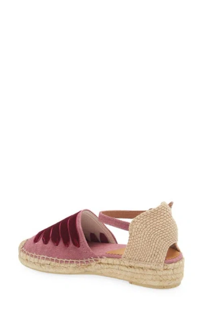 Penelope Chilvers Dali Espadrille In 511 Grape