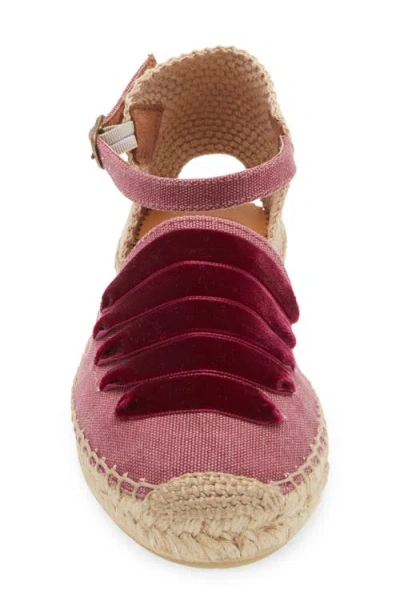 Penelope Chilvers Dali Espadrille In 511 Grape