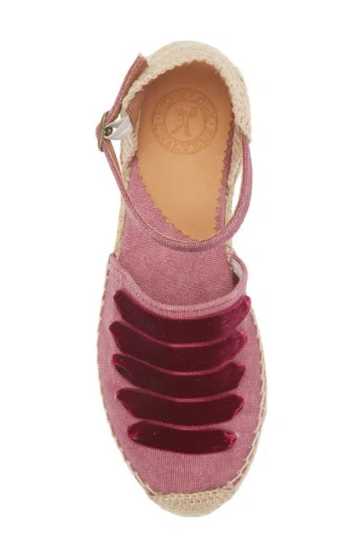 Penelope Chilvers Dali Espadrille In 511 Grape