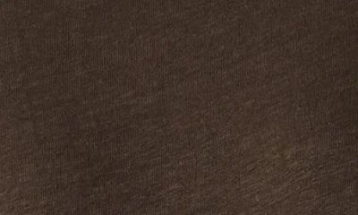 Eileen Fisher Crewneck Organic Cotton T-shirt In Branch