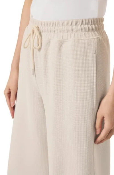 Splendid Waffle Scuba Pants In Moonstone In Neutral