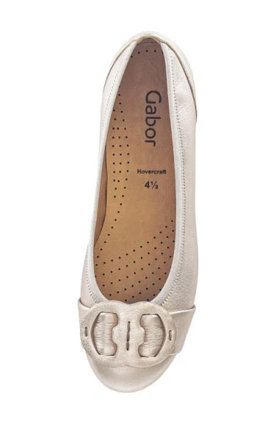 Gabor Buckled Flat In Puder