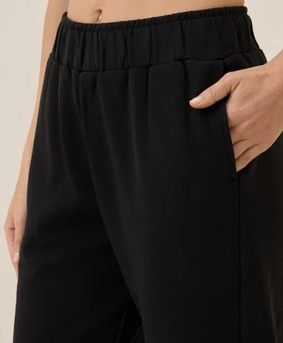 Pact Organic Brushed Fleece Sweatpant In Black