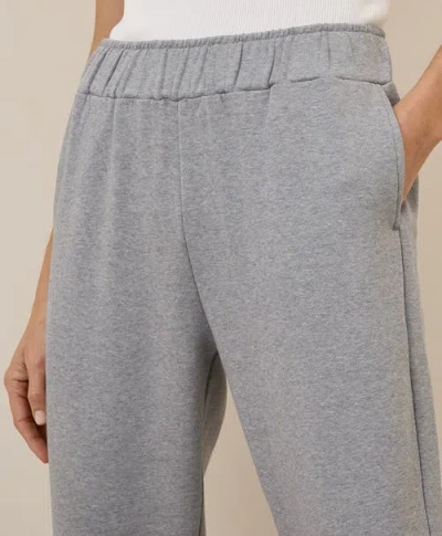Pact Organic Brushed Fleece Sweatpant In Heather Grey