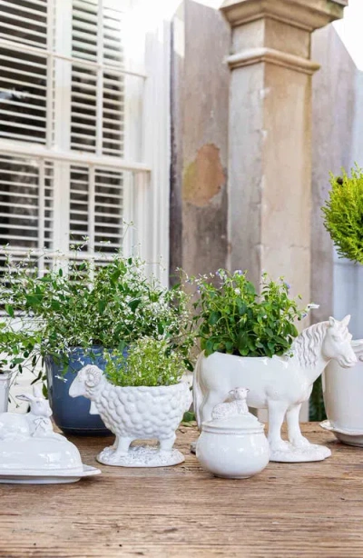 Juliska Leonardo And Donatello Turtle Salt & Pepper Shakers In Whitewash