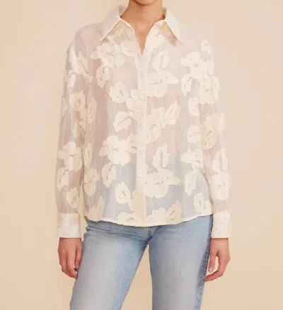 LUCY PARIS DEENA BUTTON DOWN BLOUSE IN IVORY 