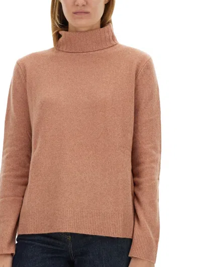 Aspesi High-neck Wool Jersey With Ribbed Hem In Pink