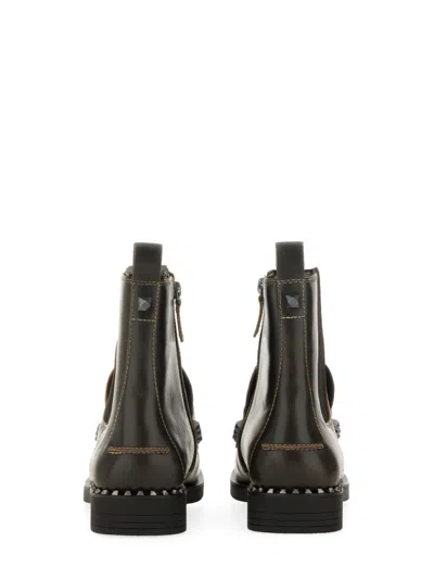 Ash Boot Wings Studs In Brown