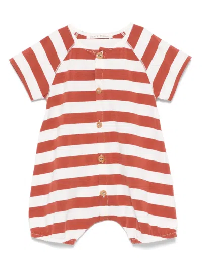 Zhoe & Tobiah Striped Shorties In Brown