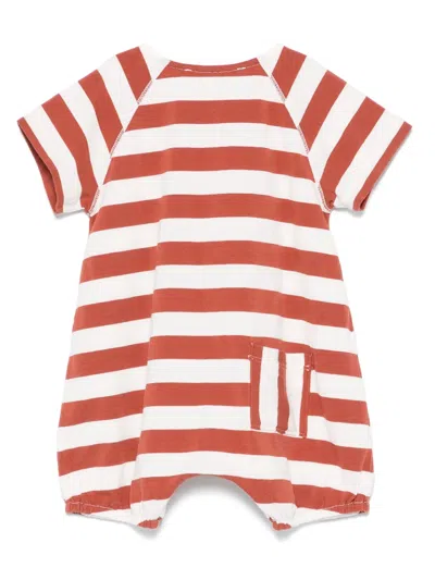 Zhoe & Tobiah Striped Shorties In Brown