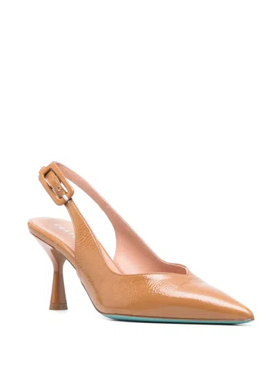 ANNUC �И�Ь��7���ף�