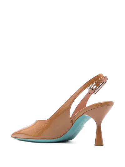 ANNUC �И�Ь��7���ף�