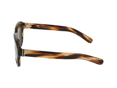Gucci Sunglasses In Havana Havana Brown