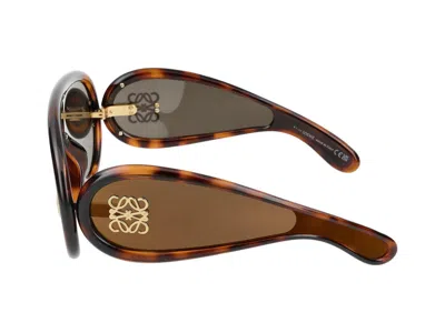 Loewe Lw40108i Anagram 52g Havana Sunglasses In Brown