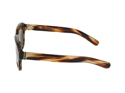 Gucci Sunglasses In Havana Havana Brown