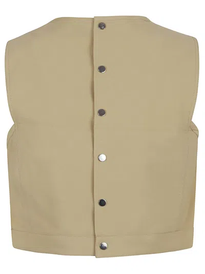 Rabanne Back Bow Sleeveless Cropped Crew Neck Top In Ochre