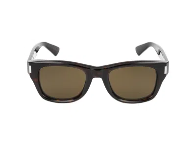 Saint Laurent Sunglasses In Havana Havana Brown