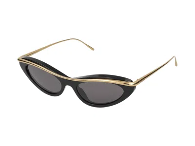 Loewe Cat-eye Acetate Sunglasses In Multicolor