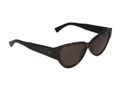 Bottega Veneta Womens Brown 6j000413 Bv1249s Cat Eye-frame Injected Sunglasses In Havana Havana Brown