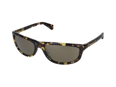 Bottega Veneta Sunglasses In Havana Havana Bronze
