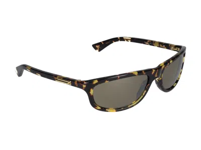 Bottega Veneta Sunglasses In Havana Havana Bronze