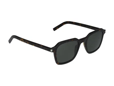 Saint Laurent Sunglasses In Havana Havana Grey