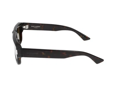 Saint Laurent Sunglasses In Havana Havana Brown