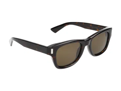 Saint Laurent Sunglasses In Havana Havana Brown