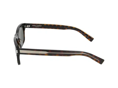 Saint Laurent Sunglasses In Havana Crystal Grey