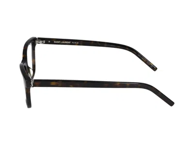 Saint Laurent Eyewear Optical In Havana Havana Transparent