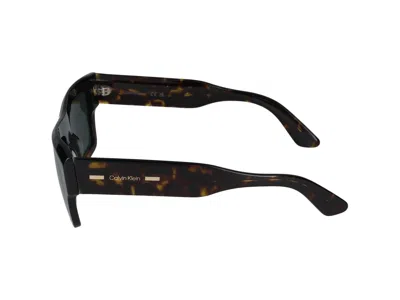 Calvin Klein Sunglasses In Brown
