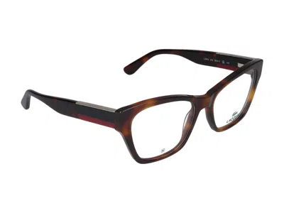 LACOSTE LACOSTE EYEGLASSES 