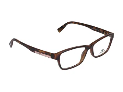Shop Lacoste Eyeglasses In Brown