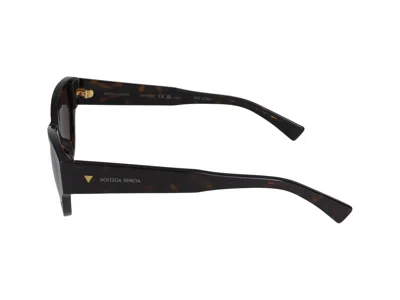 Bottega Veneta Womens Brown 6j000413 Bv1249s Cat Eye-frame Injected Sunglasses In Havana Havana Brown