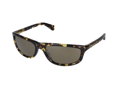 Bottega Veneta Sunglasses In Havana Havana Bronze