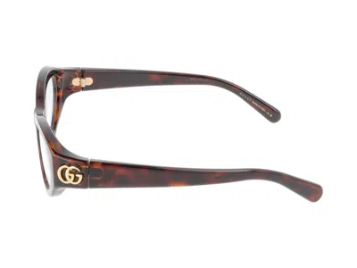 Gucci Eyeglasses In Havana Havana Transparent
