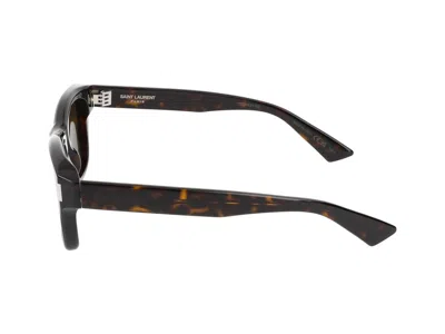 Saint Laurent Sunglasses In Havana Havana Brown
