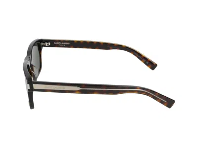 Saint Laurent Sunglasses In Havana Crystal Grey