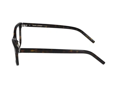 Saint Laurent Eyewear Optical In Havana Havana Transparent