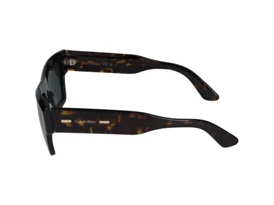 Calvin Klein Sunglasses In Brown