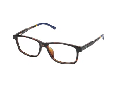 LACOSTE LACOSTE EYEGLASSES 