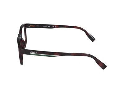 LACOSTE LACOSTE EYEGLASSES 