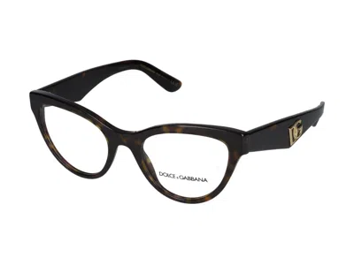 Dolce & Gabbana Eyeglasses In Brown