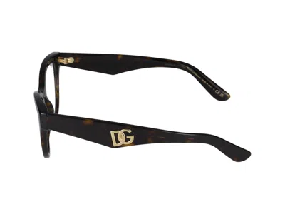 Dolce & Gabbana Eyeglasses In Brown