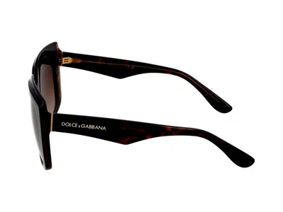 Dolce & Gabbana Sunglasses In Havana On Transparent Brown