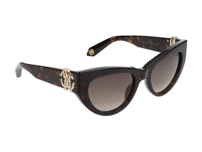 Roberto Cavalli Sunglasses In Dark Havana Glossy